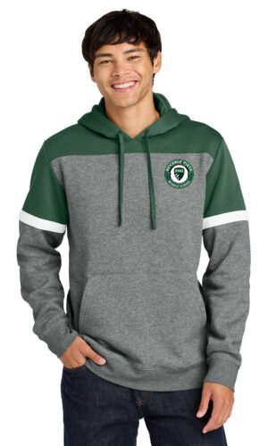 Drive Fleece Colorblock Hoodie